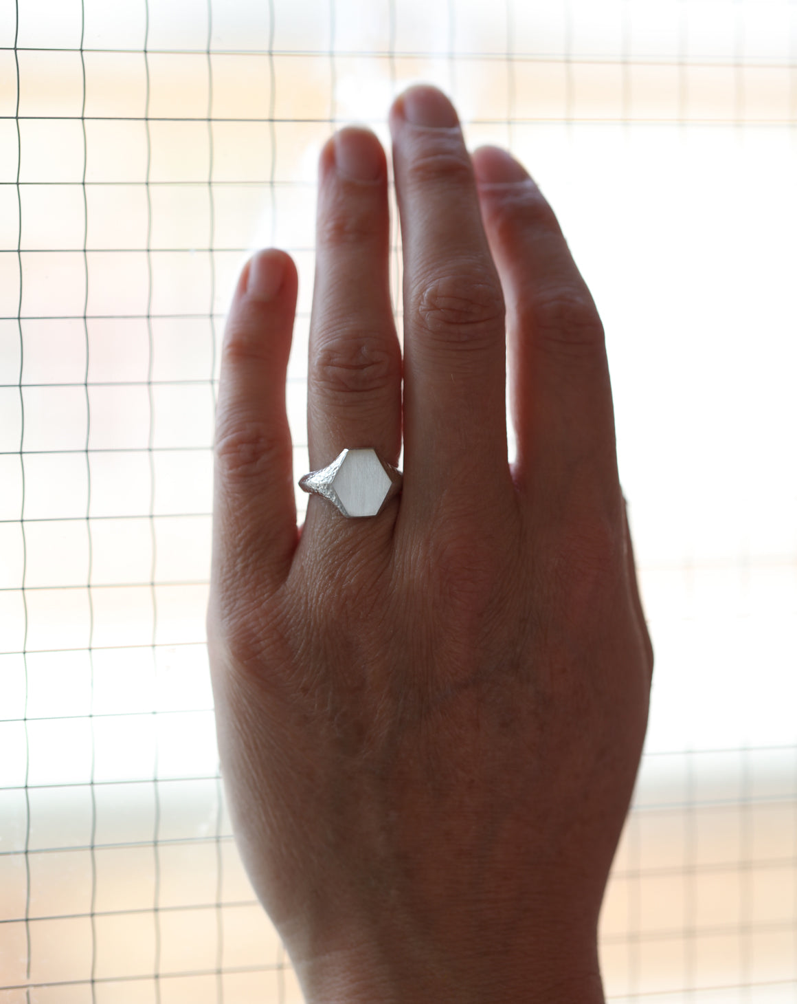 Roman Hexagon Signet Ring I - AgAin Silver