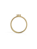 Solitaire ring with round white diamond and double band. 18ct yellow gold, satin finish. Side view.